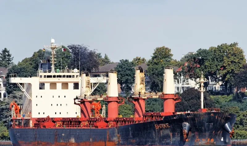 SHRIKE Bulk Carrier IMO 9237187 photo 9