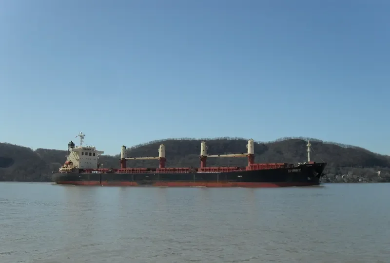 SHRIKE Bulk Carrier IMO 9237187 photo 10