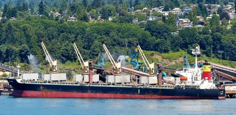 VICJOUR ACE Bulk Carrier IMO 9237216 photo 4
