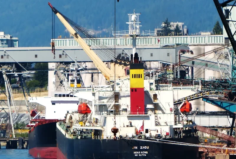 VICJOUR ACE Bulk Carrier IMO 9237216 photo 5