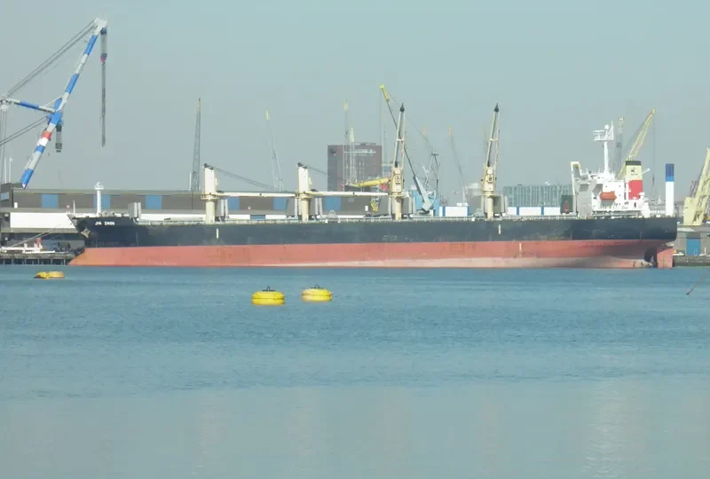 VICJOUR ACE Bulk Carrier IMO 9237216 photo 7