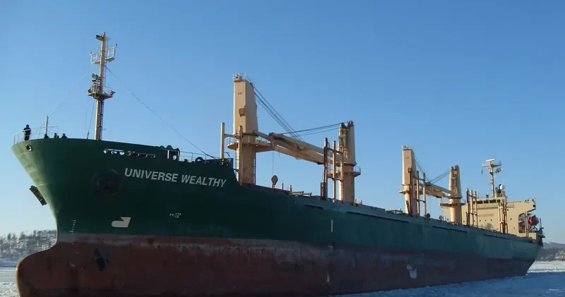 UNIVERSE WEALTHY Bulk Carrier IMO 9237280