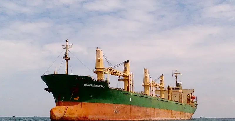 UNIVERSE WEALTHY Bulk Carrier IMO 9237280 photo 2