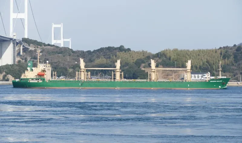 UNIVERSE WEALTHY Bulk Carrier IMO 9237280 photo 4