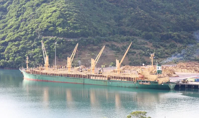 UNIVERSE WEALTHY Bulk Carrier IMO 9237280 photo 7