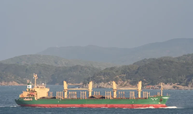 UNIVERSE WEALTHY Bulk Carrier IMO 9237280 photo 10