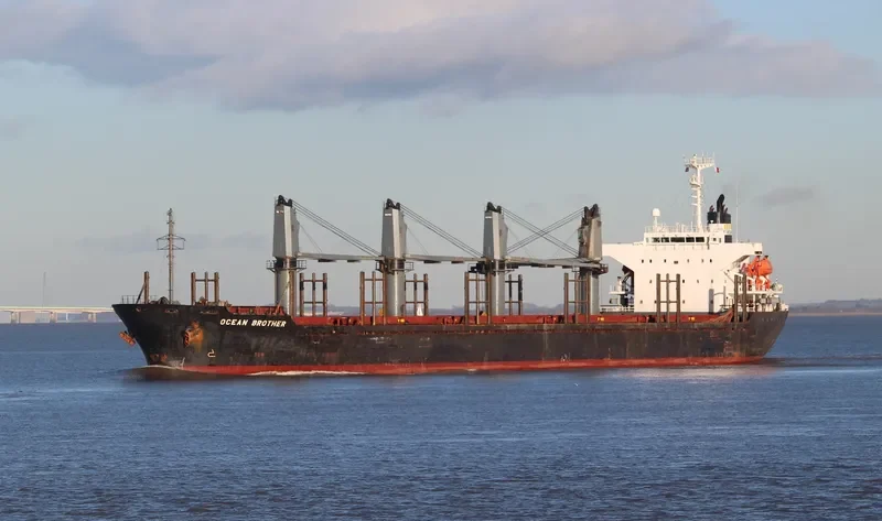 SIMON BROTHER Bulk Carrier IMO 9237383 photo 6