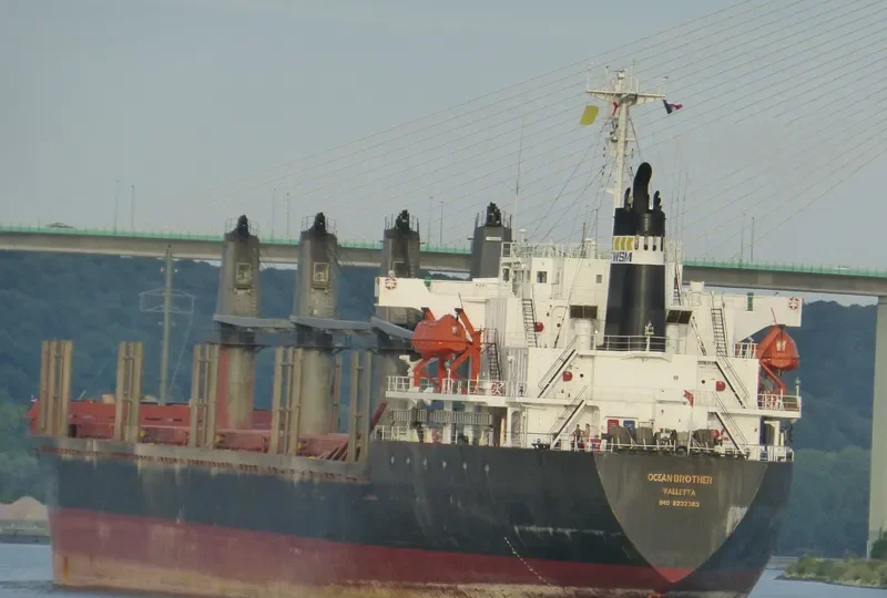 SIMON BROTHER Bulk Carrier IMO 9237383 photo 9