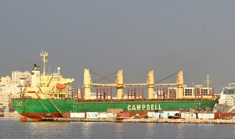 PVT HN Bulk Carrier IMO 9237395 photo 4