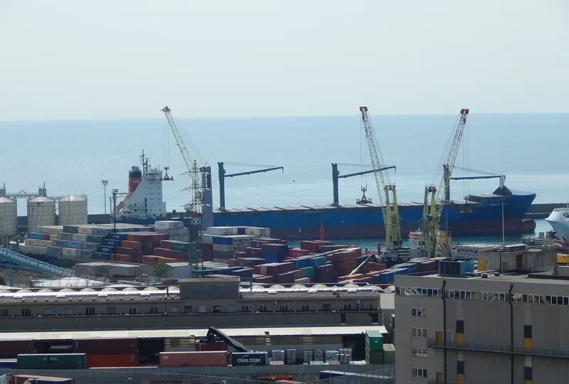 FESCO DALNEGORSK Container Ship IMO 9237486