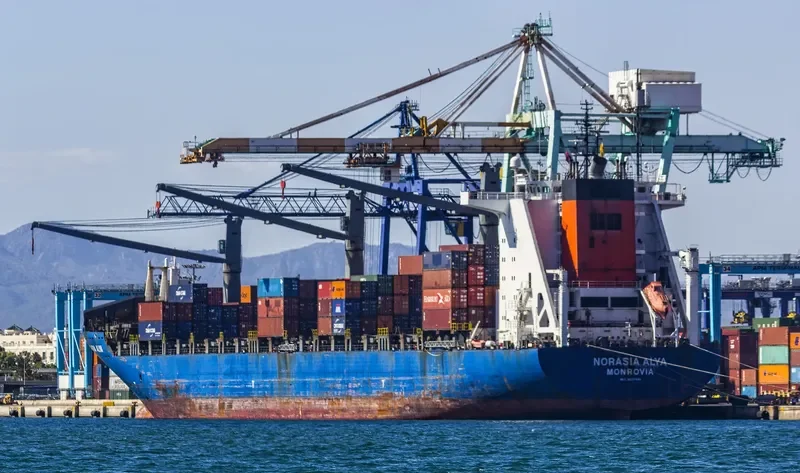 FESCO DALNEGORSK Container Ship IMO 9237486 photo 3