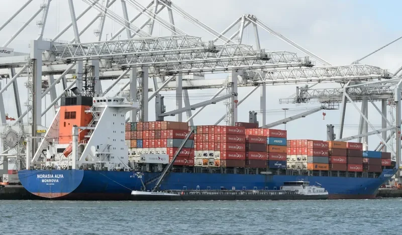 FESCO DALNEGORSK Container Ship IMO 9237486 photo 8