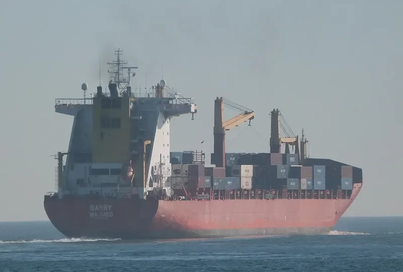 FESCO SOFIA Container Ship IMO 9237503 photo 3