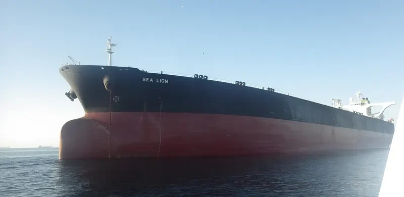 SEA LION Tanker IMO 9237620 photo 6