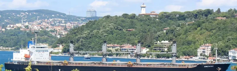 AMETHYST Bulk Carrier IMO 9237943