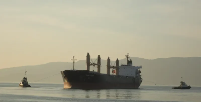 KANG CHANG Bulk Carrier IMO 9238193 photo 9