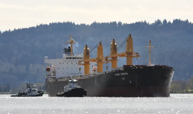 KANG SHENG Bulk Carrier IMO 9238208 photo 5