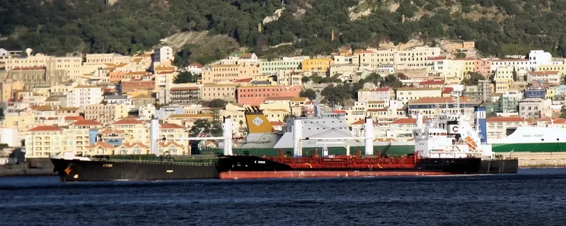 LIN HAI 6 Bulk Carrier IMO 9238210