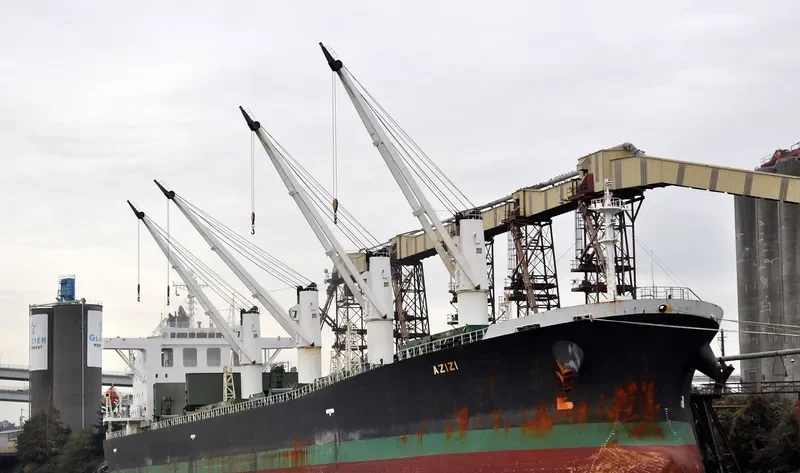 LIN HAI 6 Bulk Carrier IMO 9238210 photo 4