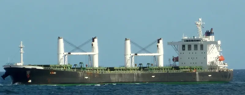 LIN HAI 6 Bulk Carrier IMO 9238210 photo 6