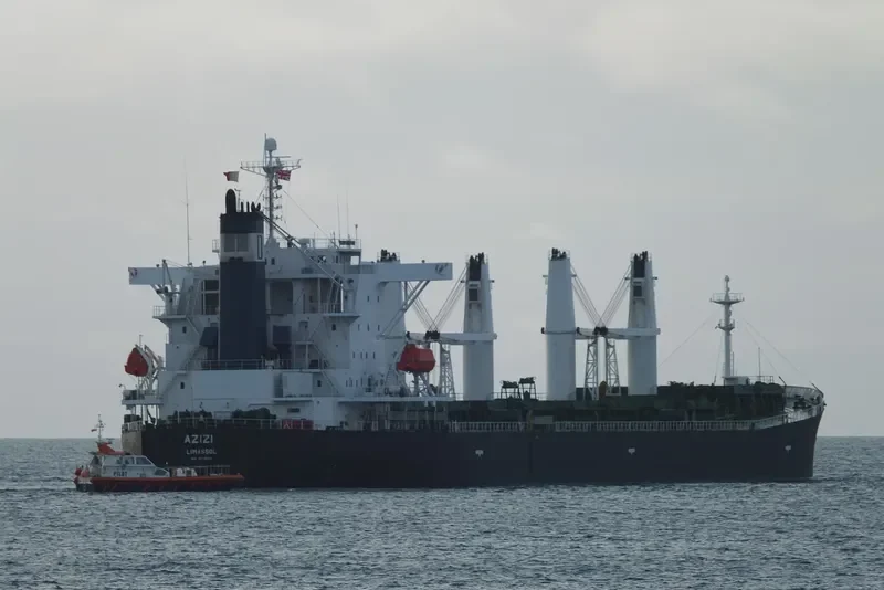 LIN HAI 6 Bulk Carrier IMO 9238210 photo 7
