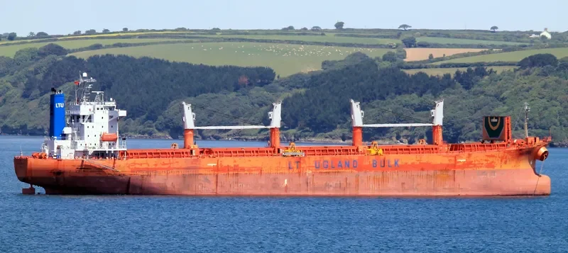 LUMOSO SURYA Bulk Carrier IMO 9238222 photo 9