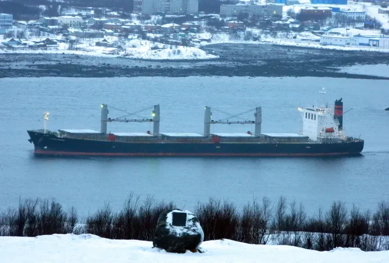 ZHONG LIANG DONG NAN Bulk Carrier IMO 9238234 photo 3