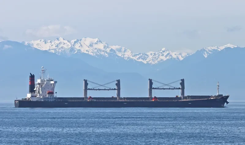 ZHONG LIANG DONG NAN Bulk Carrier IMO 9238234 photo 5