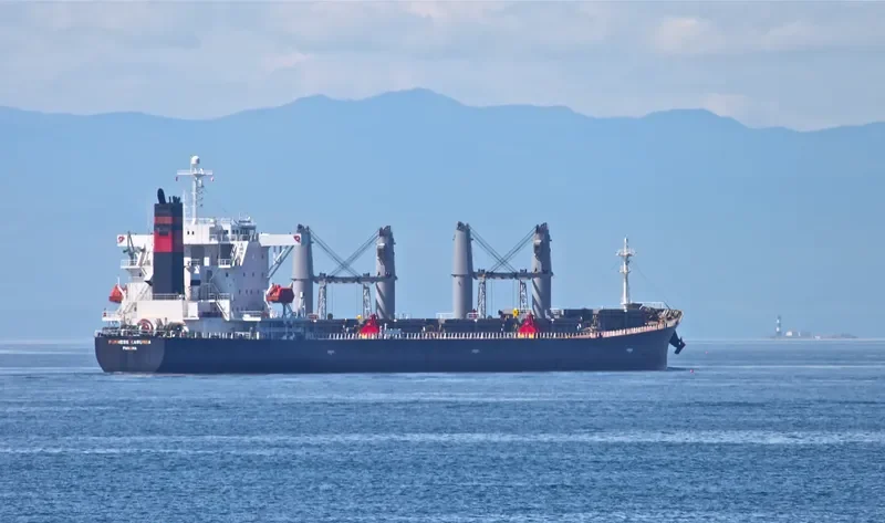 ZHONG LIANG DONG NAN Bulk Carrier IMO 9238234 photo 8