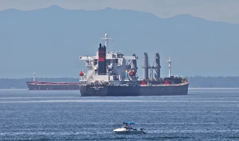 ZHONG LIANG DONG NAN Bulk Carrier IMO 9238234 photo 9