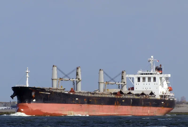 ZHONG LIANG DONG NAN Bulk Carrier IMO 9238234 photo 10