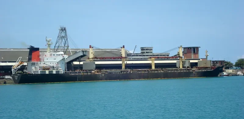 LEVROSO Bulk Carrier IMO 9238325 photo 3