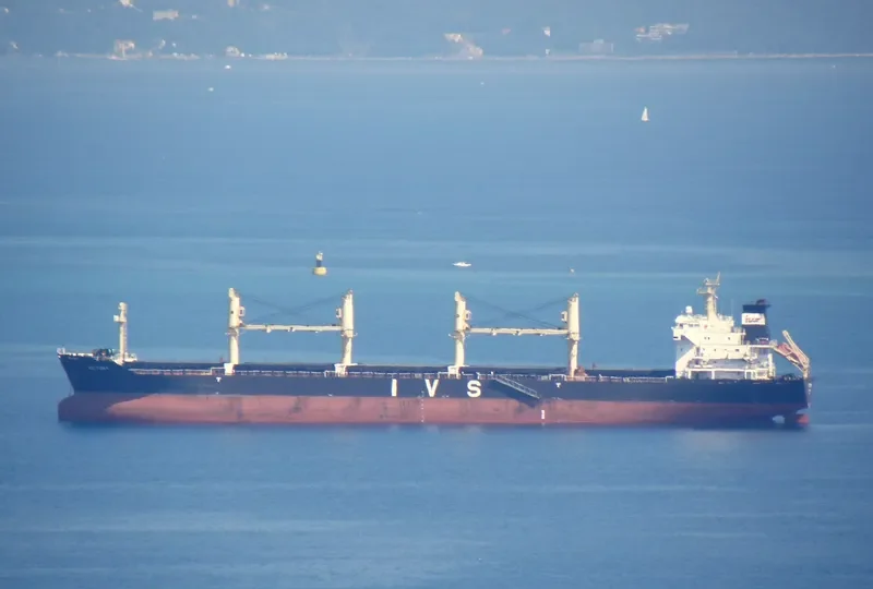 LEVROSO Bulk Carrier IMO 9238325 photo 31