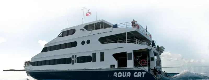 AQUA CAT General Cargo IMO 9238349