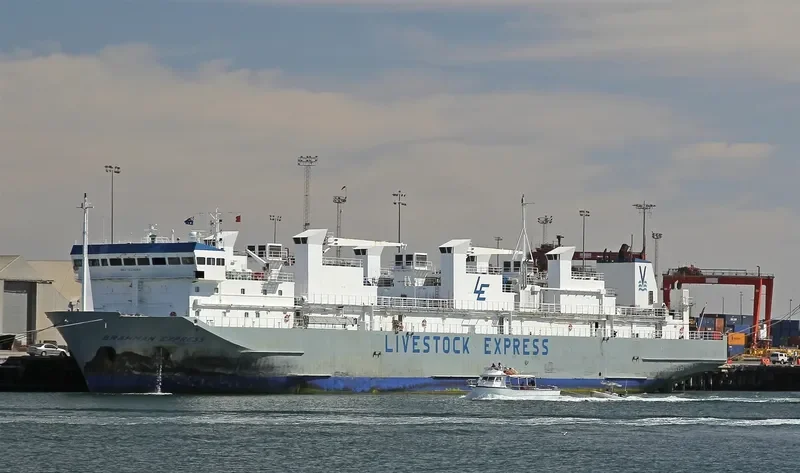 BRAHMAN EXPRESS General Cargo IMO 9238416 photo 10