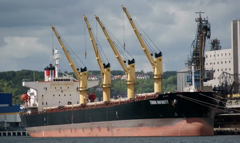 THOR INFINITY Bulk Carrier IMO 9238466