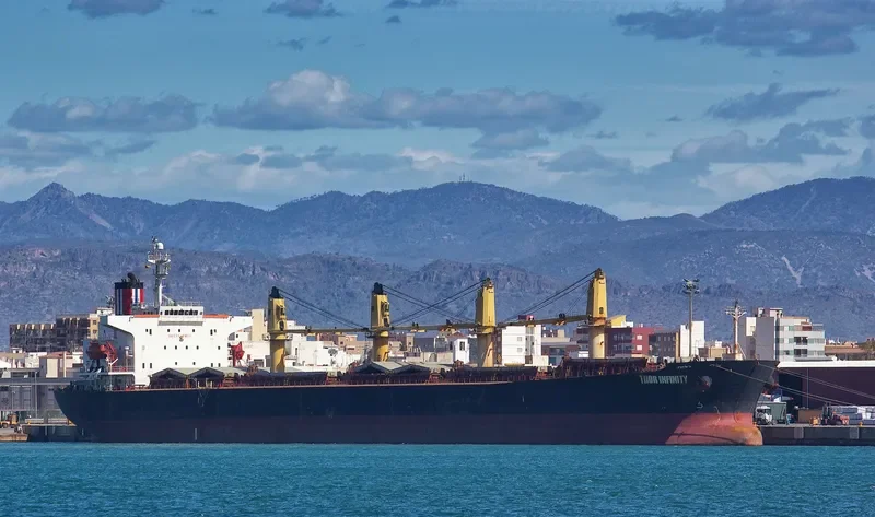 THOR INFINITY Bulk Carrier IMO 9238466 photo 4