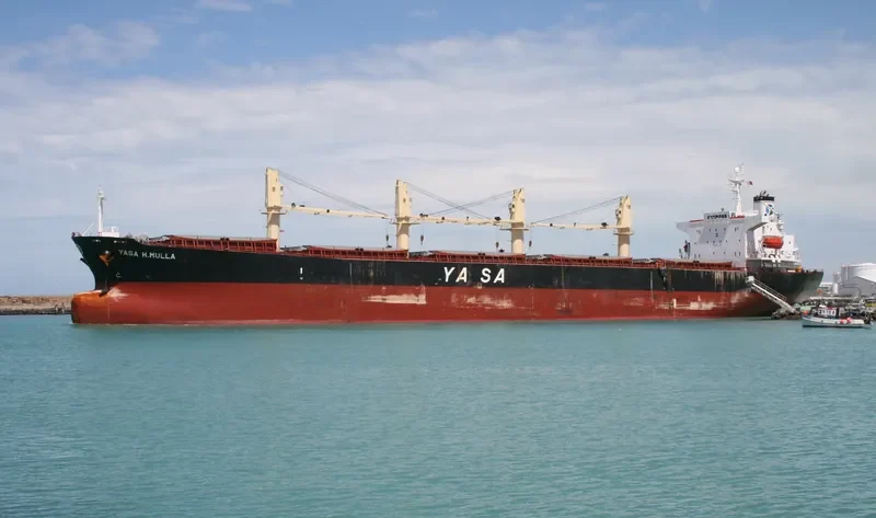 THOR INFINITY Bulk Carrier IMO 9238466 photo 6
