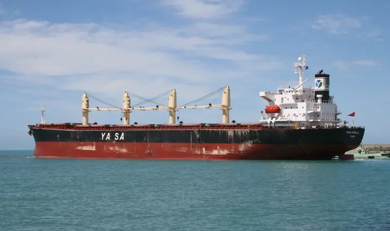 THOR INFINITY Bulk Carrier IMO 9238466 photo 7