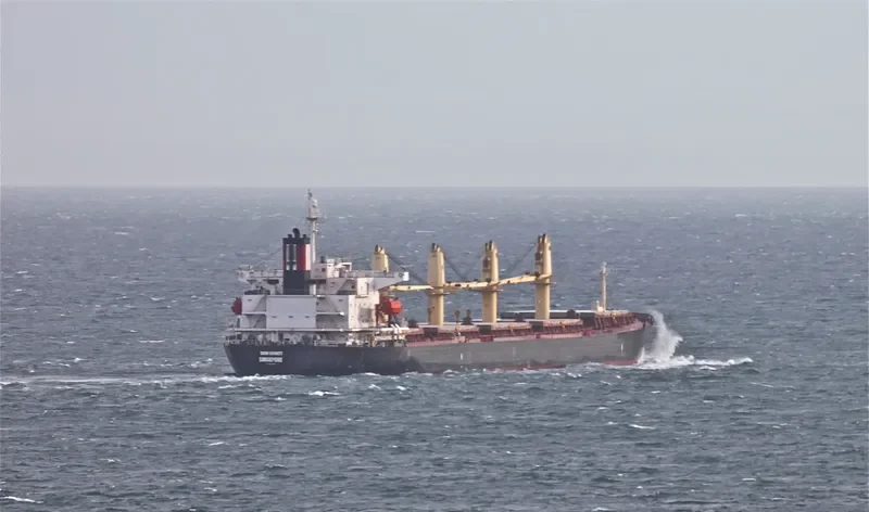 THOR INFINITY Bulk Carrier IMO 9238466 photo 8