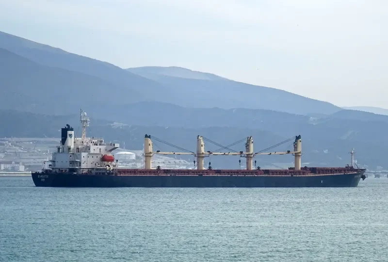 GRAMMY BRAVE Bulk Carrier IMO 9238478 photo 3