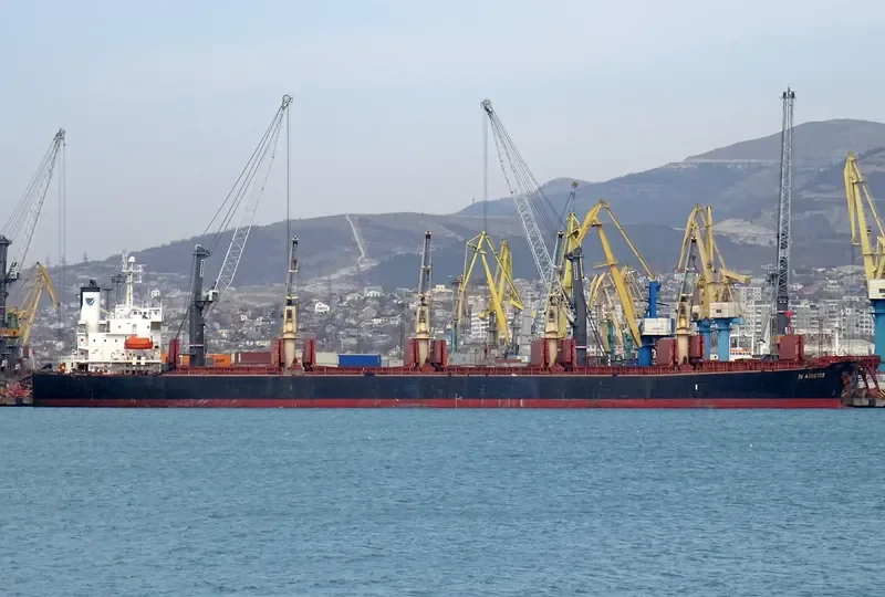 GRAMMY BRAVE Bulk Carrier IMO 9238478 photo 5