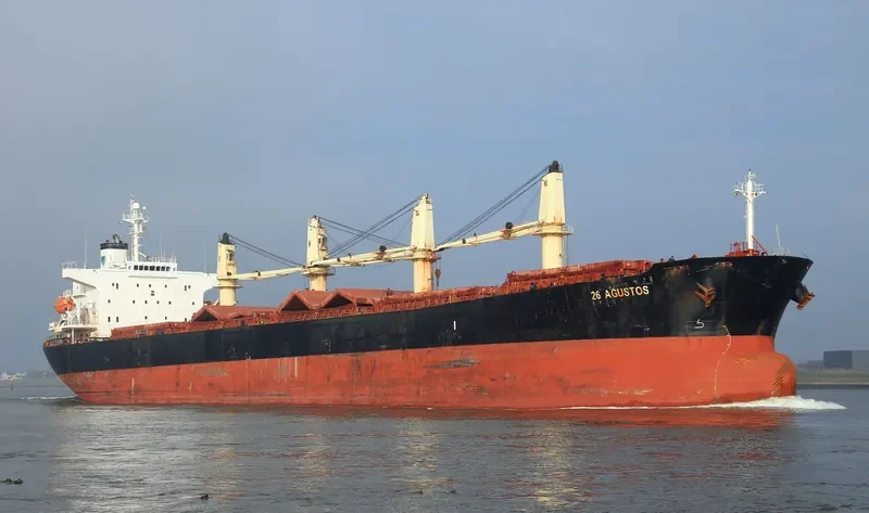 GRAMMY BRAVE Bulk Carrier IMO 9238478 photo 7
