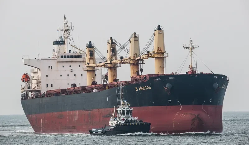 GRAMMY BRAVE Bulk Carrier IMO 9238478 photo 9