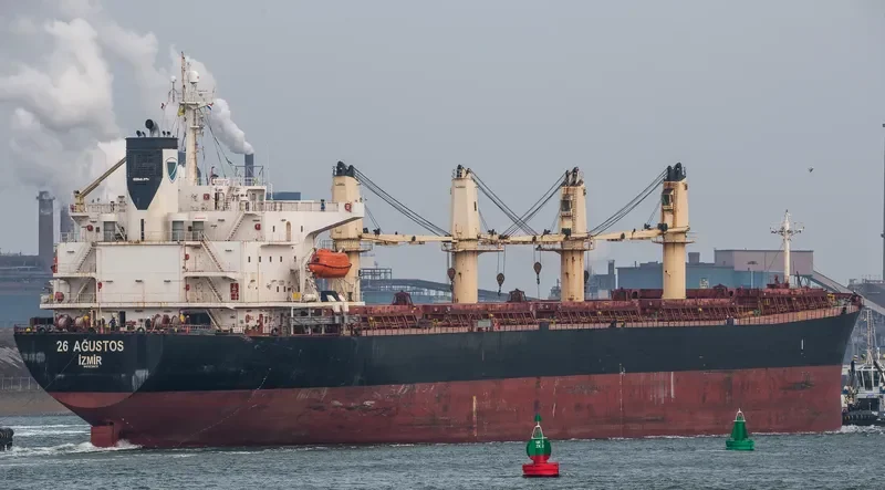 GRAMMY BRAVE Bulk Carrier IMO 9238478 photo 10