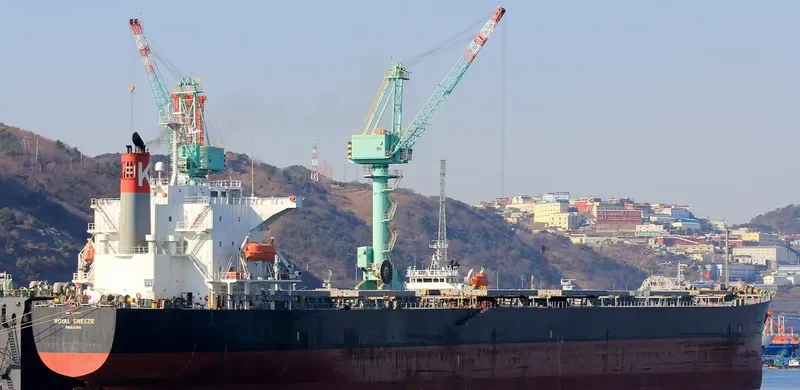 LONG SHAN HU Bulk Carrier IMO 9238507
