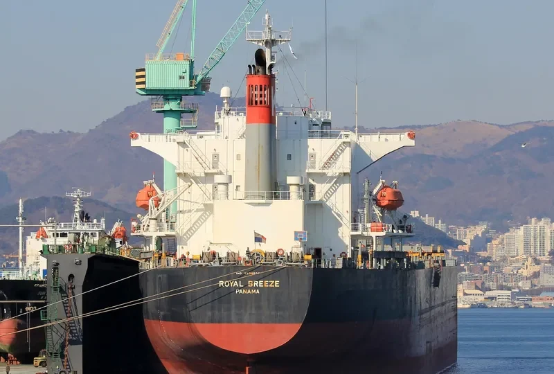 LONG SHAN HU Bulk Carrier IMO 9238507 photo 2