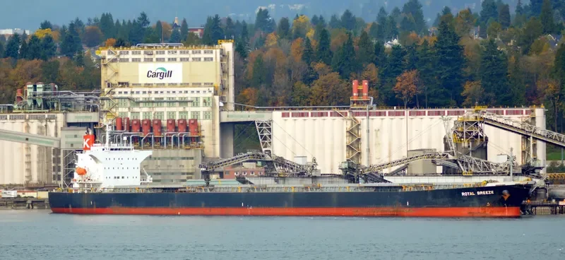LONG SHAN HU Bulk Carrier IMO 9238507 photo 3