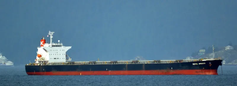 LONG SHAN HU Bulk Carrier IMO 9238507 photo 4
