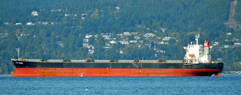 LONG SHAN HU Bulk Carrier IMO 9238507 photo 5